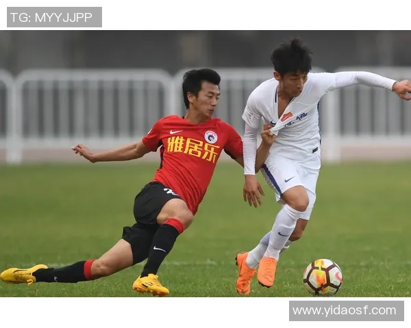 延边对阵辽宁开新精彩直播全程回顾与赛后分析尽在这里